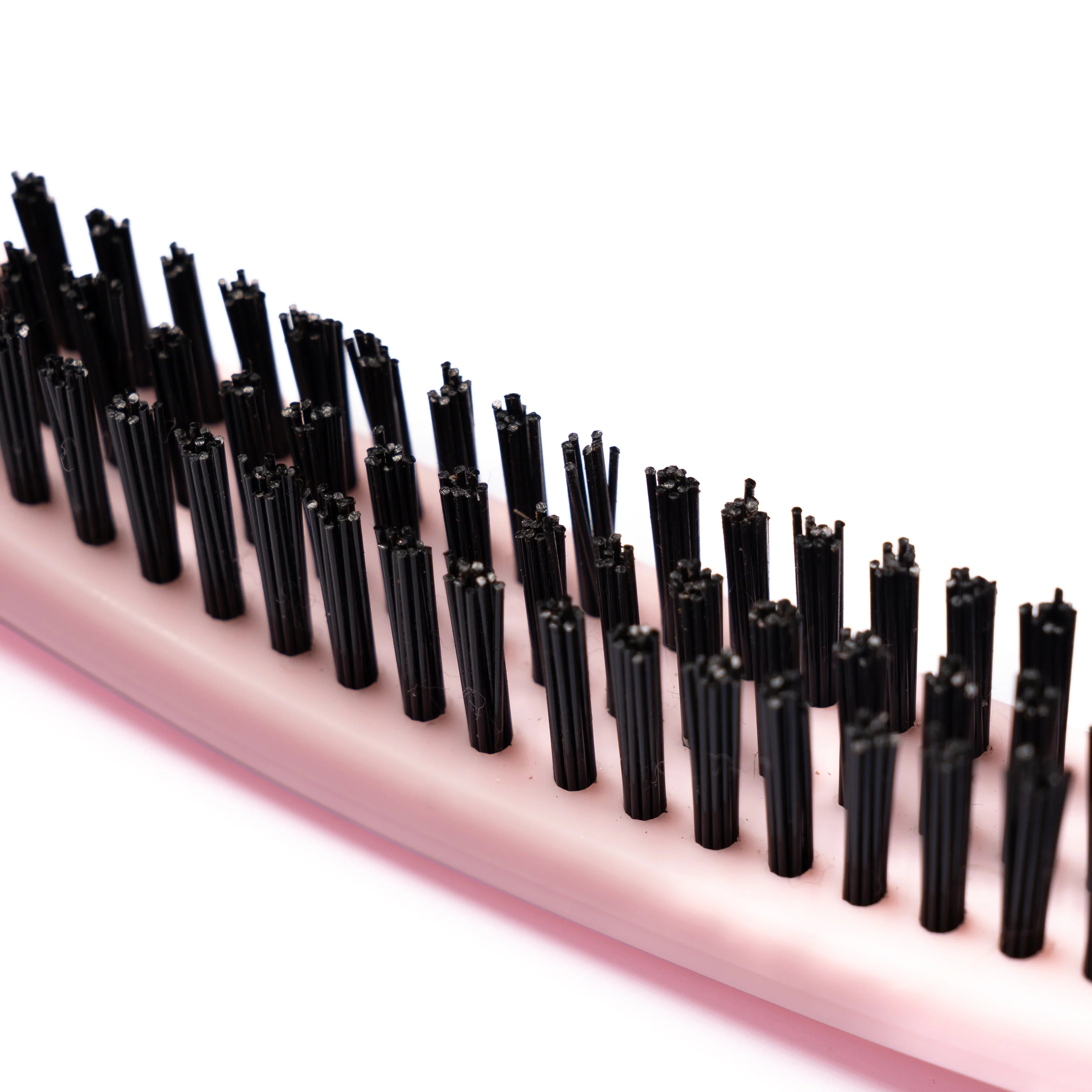 The Snatched Brush