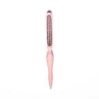 The Snatched Brush